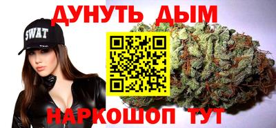 трава Гатчина