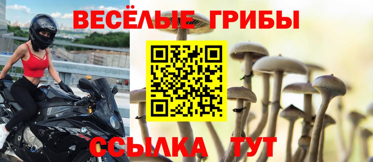 Псилоцибиновые грибы Psilocybine cubensis Михайловск