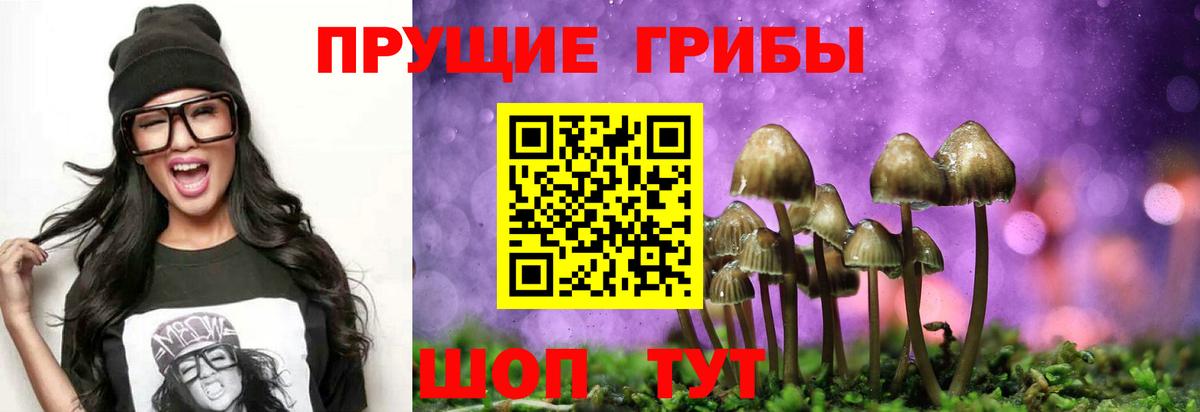 Михайловск  Галлюциногенные грибы GOLDEN TEACHER  Вход с VPN 